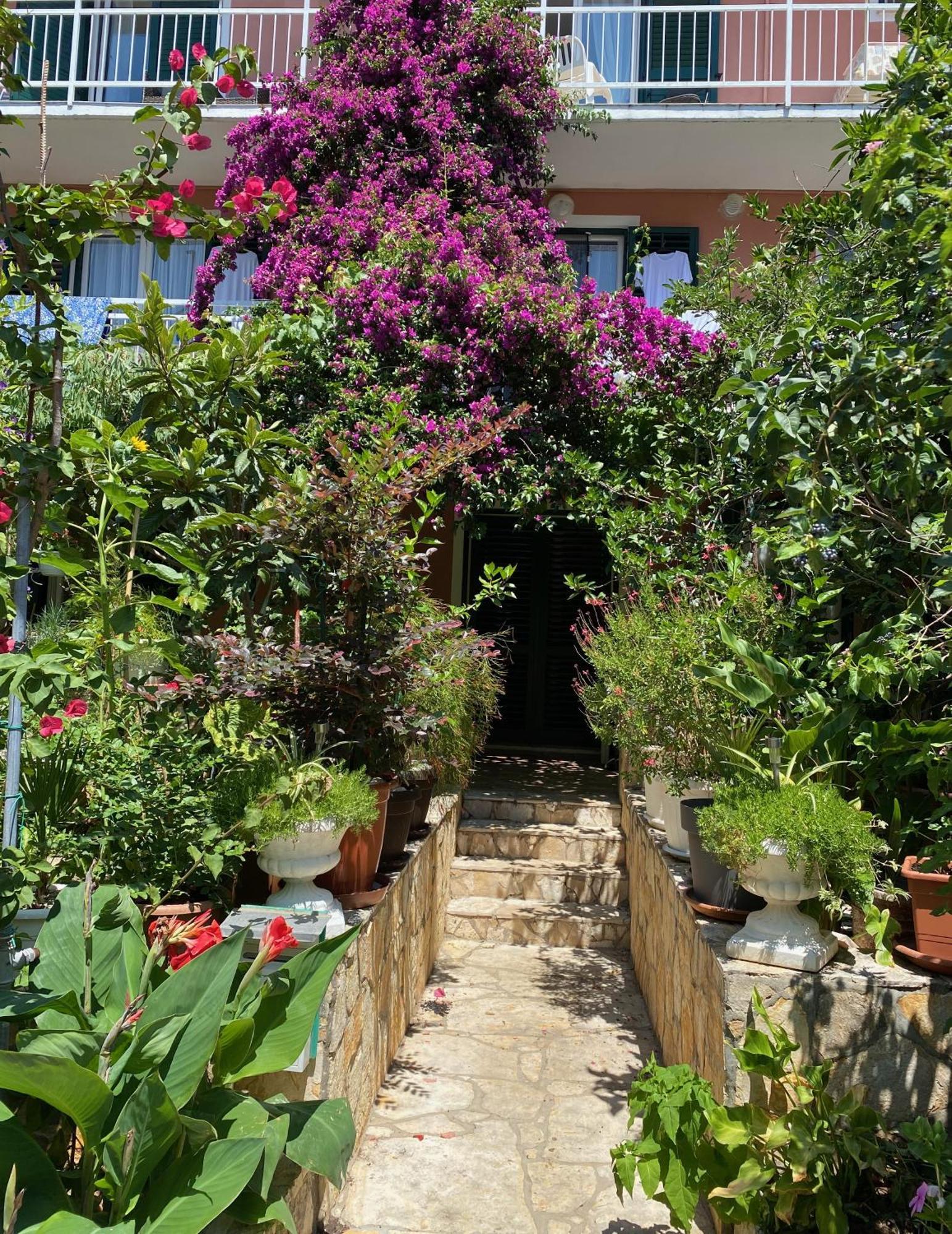 Apartmani Dusanka Orebić Exterior foto